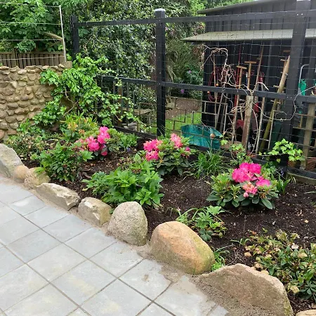 Daire Praestegade 11 Ribe